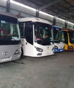 Thuê xe 29 chỗ