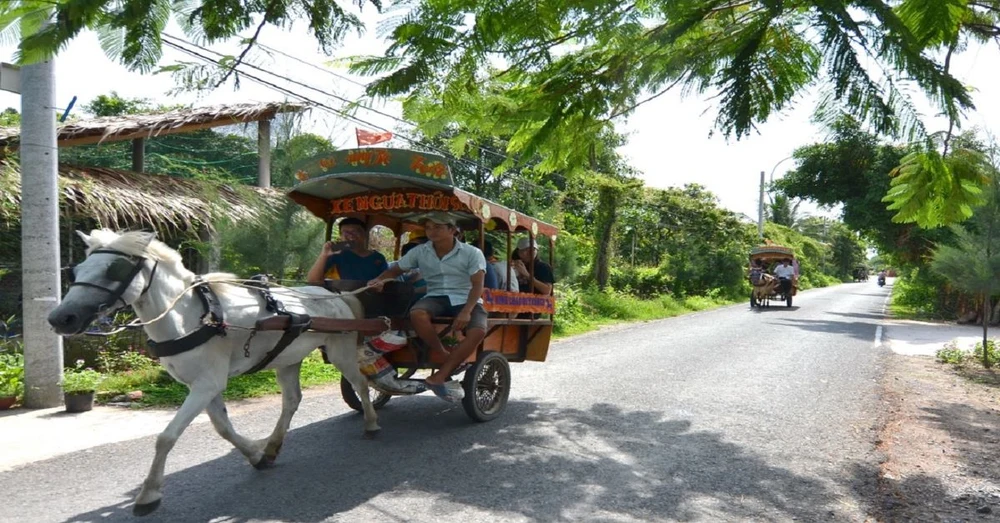 Cù Lao Thái Sơn Có Gì Chơi ? 6 2. Tham Quan Cu Lao Bang Xe Dap Hoac Xe Ngua