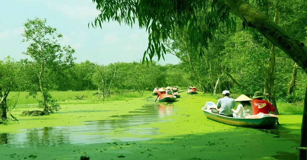 Cù Lao Thái Sơn Có Gì Chơi ? 3 Huong Dan Cach Di Cu Lao Thoi Son Tu Thanh Pho Ho Chi Minh