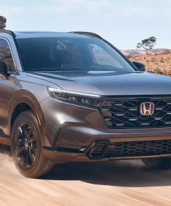 Thuê Xe Sài Gòn Đi Sóc Trăng 5 thuê xe du lịch tại đồng tháp