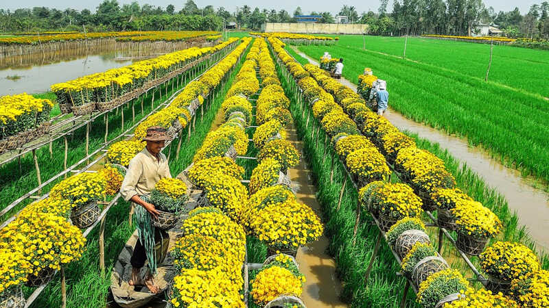 Thuê Xe Tiền Giang Đi Đồng Tháp 1 thuê xe tiền giang đi đồng tháp
