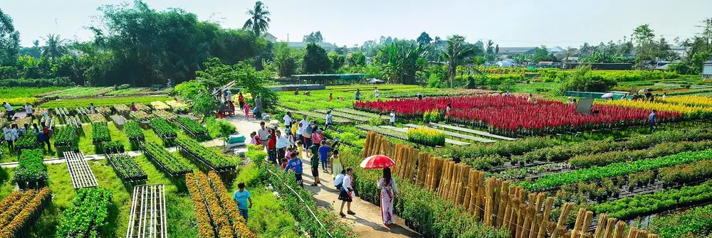 Thuê Xe Sài Gòn Đi Đồng Tháp 1 thuê xe từ sài gòn đi đồng tháp