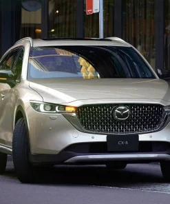 Thuê xe Vũng Tàu đi Long An 7 Cho thuê xe 4, 7, 16 chỗ đi Vĩnh Long uy tín nhất Sài Gòn