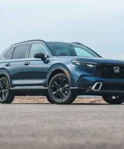 Thuê xe Vũng Tàu đi Vĩnh Long 10 Thuê Xe Du Lịch Tại Châu Đức