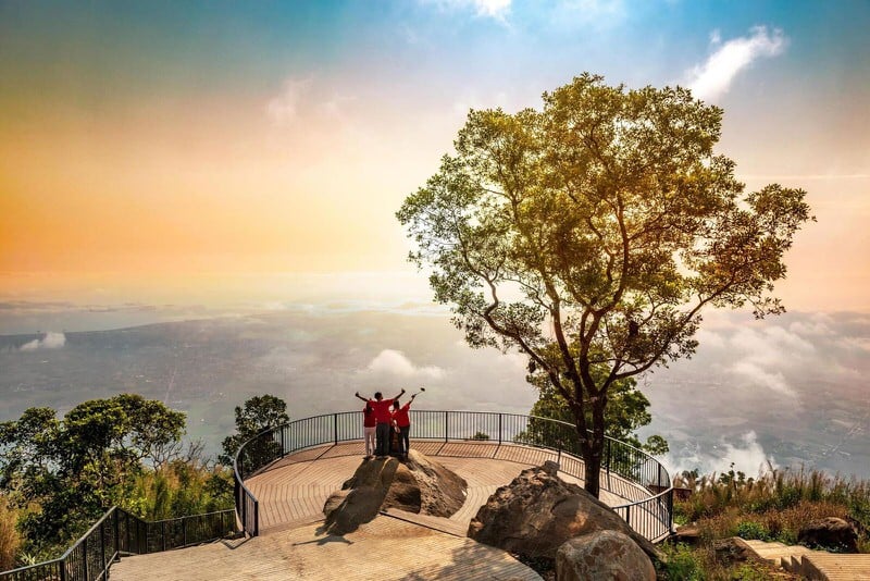 Thuê Xe Có Tài Xế Từ TPHCM Đi Đà Lạt Ở Đâu Uy Tín