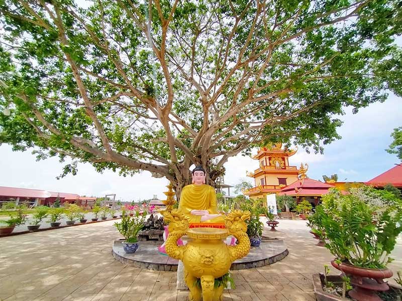 Bảng Giá Thuê Xe Tại Bến tre 1 Bảng Giá Thuê Xe Tại Bến tre