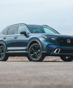 Thuê Xe Cần Thơ Đi Phan Thiết 7 Thuê Xe Du Lịch Tại Tuy Phong