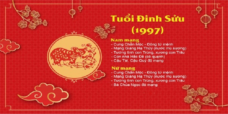 Mệnh Thủy Nữ 1997 Thì Cửa Nhà Chính Nên Quay Về Hướng Nào?