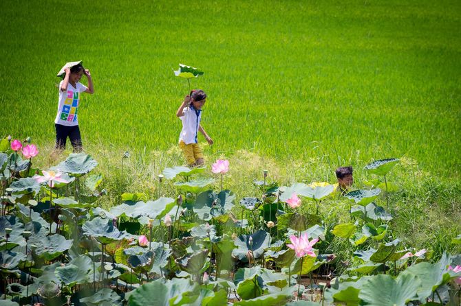 Thuê Xe Long An Đi Đồng Tháp