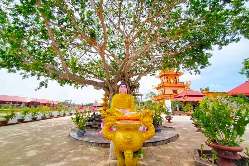 Chùa Vạn Phước Xứ Sở Dừa Bến Tre khám phá tiên cảnh trần gian 2 Chua Van Phuoc Xu So Dua Ben Tre kham pha tien canh tran gian1