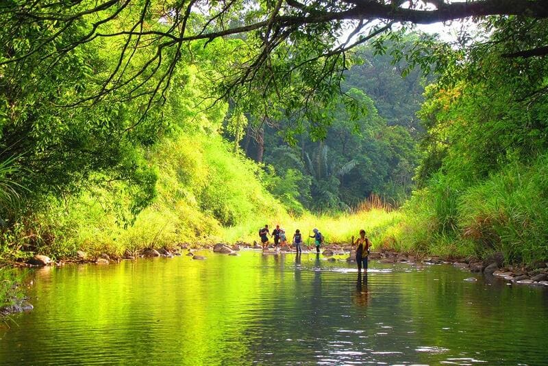 Thuê Xe An Giang Đi Bình Phước 1 Thue Xe An Giang Di Binh Phuoc