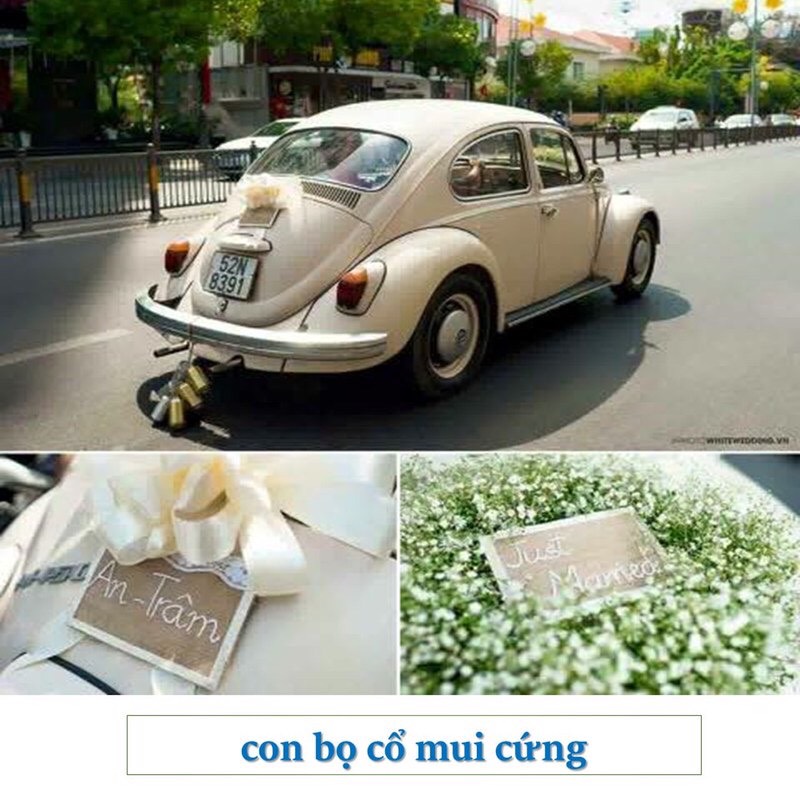 Thue Xe Cuoi Hoi Tai TPHCM