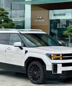 Thuê Xe An Giang Đi Vũng Tàu 8 Thue Xe Tien Giang Di Hau Giang